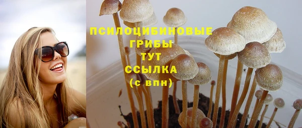 бошки Покровск