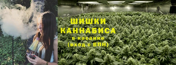 гашик Покров