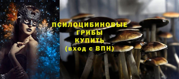 гашик Покров