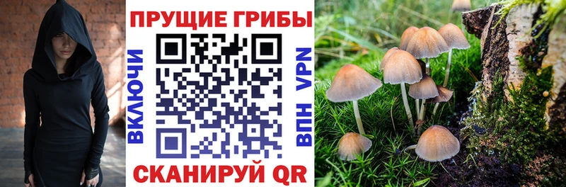 Купить где  Цоци-Юрт  Галлюциногенные грибы мухоморы 