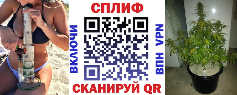 Канабис SATIVA & INDICA  Купить где  Цоци-Юрт 